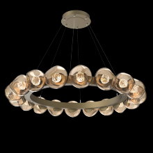Hammerton CHB0095-48-GB-FB-CA1-L3 - Luna Radial Ring - 48-Inch