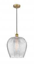 Innovations Lighting 616-1P-BB-G462-12-LED - Norfolk - 1 Light - 12 inch - Brushed Brass - Cord hung - Mini Pendant