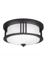 Generation Lighting 7847902EN3-12 - Crowell Two Light Outdoor Ceiling Flush Mount
