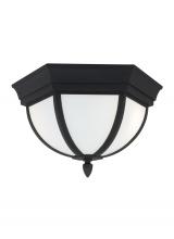 Generation Lighting 79136EN3-12 - Wynfield Two Light Outdoor Ceiling Flush Mount