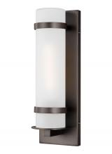 Generation Lighting 8518301EN3-71 - Alban Small One Light Outdoor Wall Lantern
