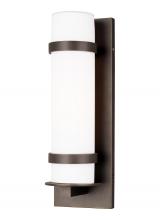Generation Lighting 8618301EN3-71 - Alban Medium One Light Outdoor Wall Lantern