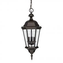 Capital 9724OB - 3 Light Outdoor Hanging Lantern