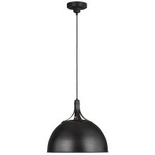 Visual Comfort & Co. Studio Collection TP1071AI - Logan Large Pendant